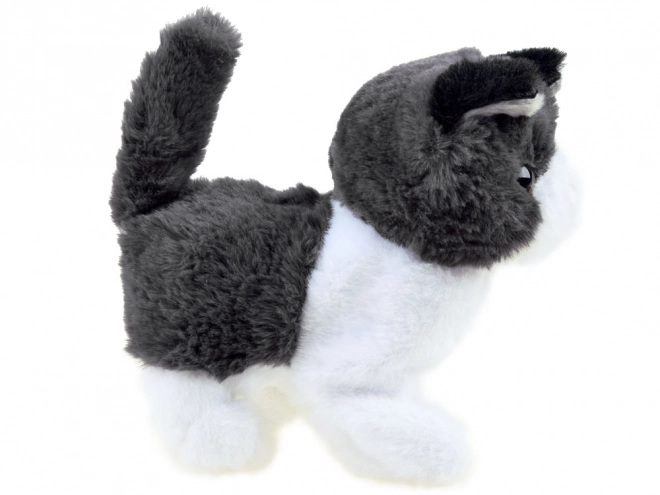 Chaton Interactif Psotek Cherche Maman