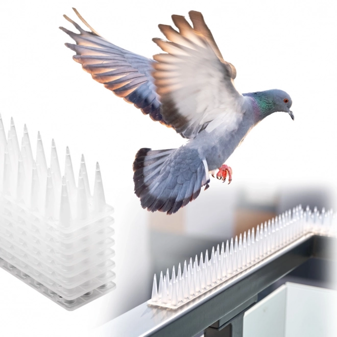Pointes en plastique contre les pigeons blanches