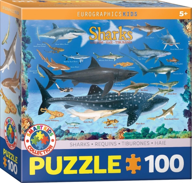 Puzzle Requins 100 pièces