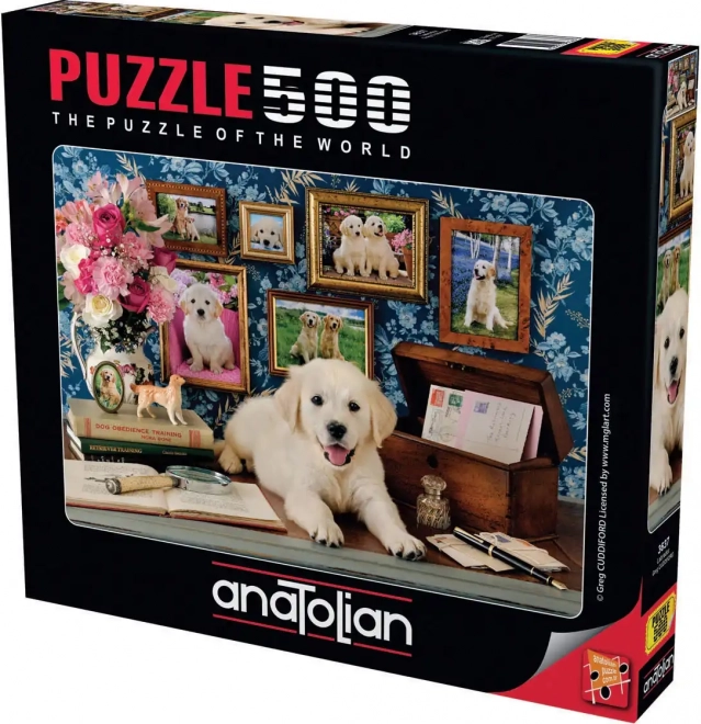 Puzzle Labrador 500 pièces