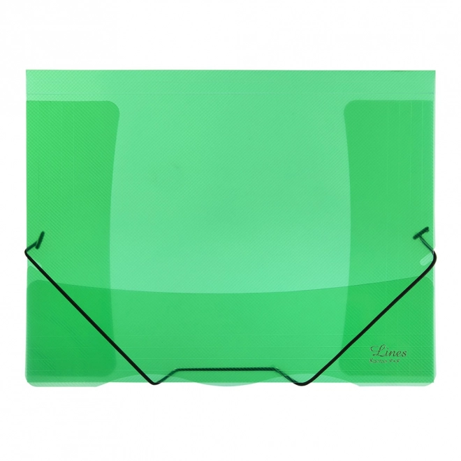 Pochette avec élastique transparente Lignes vertes