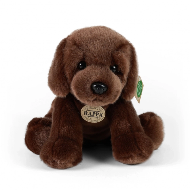 Chien en peluche Labrador assis Rappa écologique