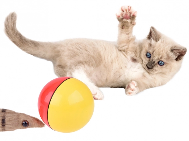 Boule avec queue poilue - Furet
