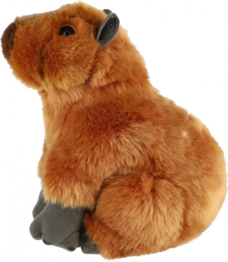 Un choix sûr dès la naissance