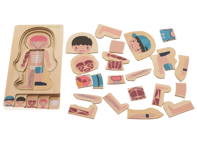 Puzzle en bois multicouche le corps humain Montessori