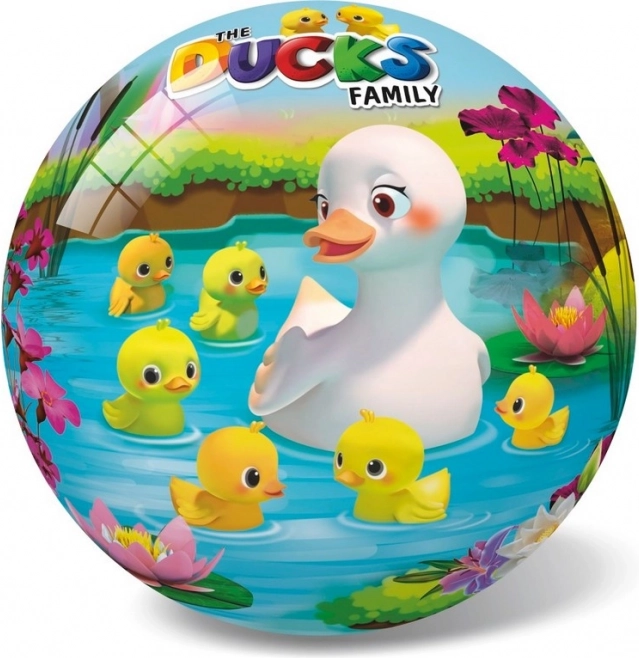 Balle Canards 14 cm