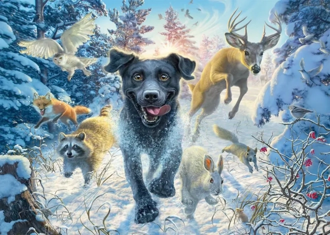 Puzzle Labrador dans la neige 1000 pièces