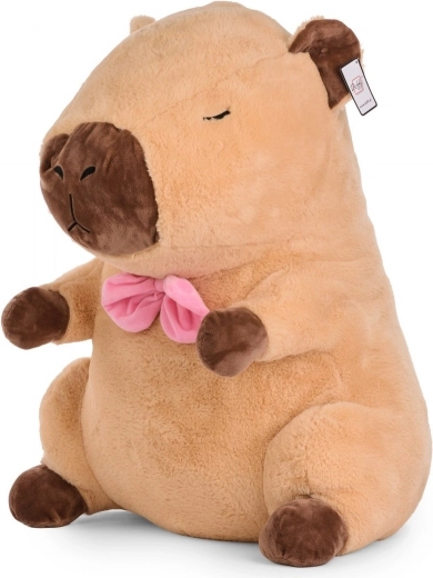 Nœud élégant et couleurs naturelles