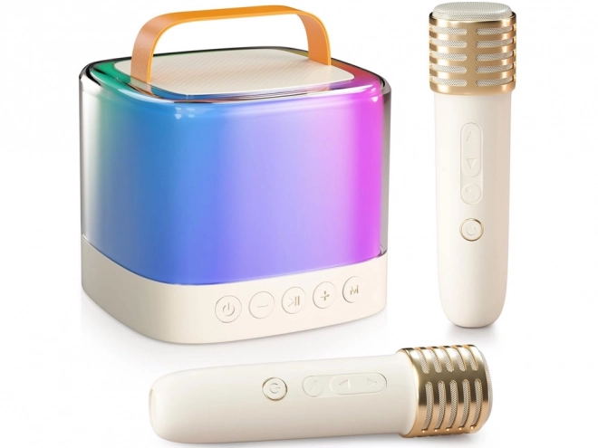 Microphone avec haut-parleur sans fil et Bluetooth