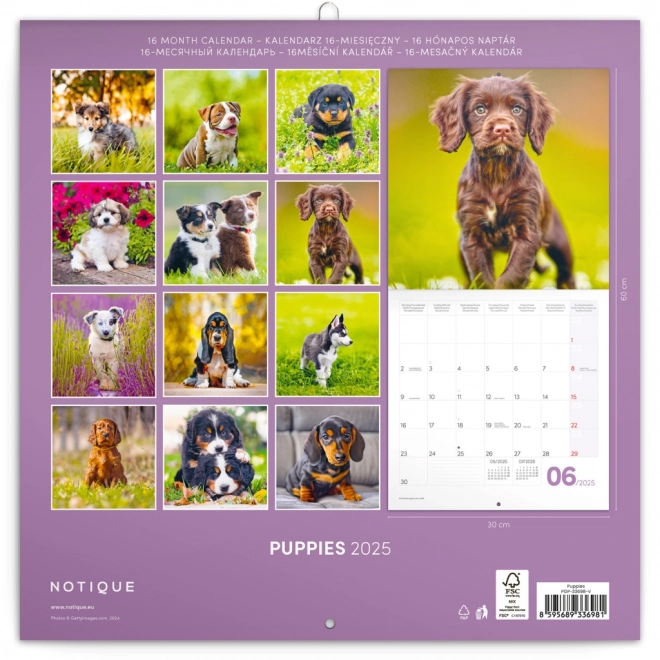 Calendrier de Notes Chiots 2025, 30 × 30 cm