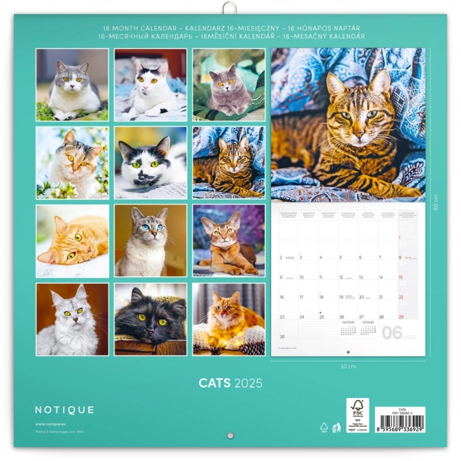 Calendrier de notes Chats 2025, 30 × 30 cm