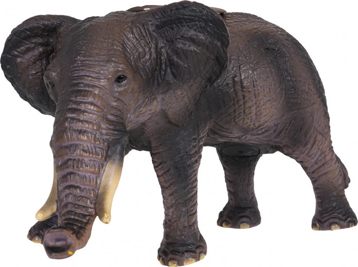 Détails réalistes et conception robuste