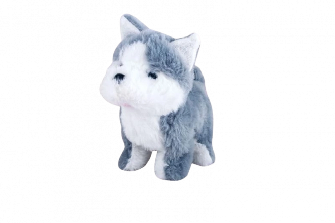 Husky à piles
