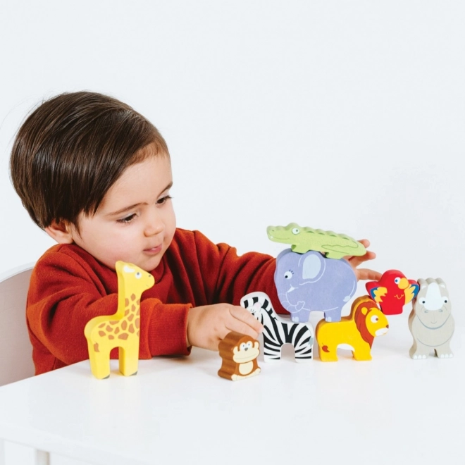 Le Toy Van Petilou Tour Empilable Afrique 9 pcs