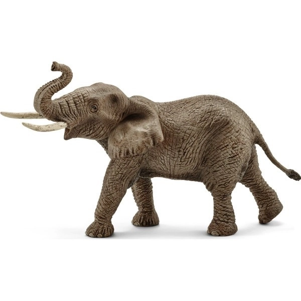 Éléphant d'Afrique - mâle