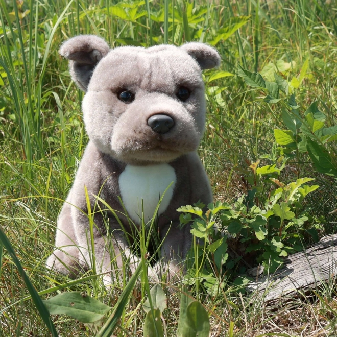Staffordshire bull terrier en peluche 30cm ÉCOLOGIQUE