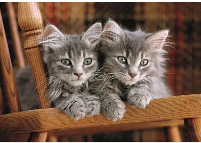 Puzzle Clementoni avec chatons, 500 pièces