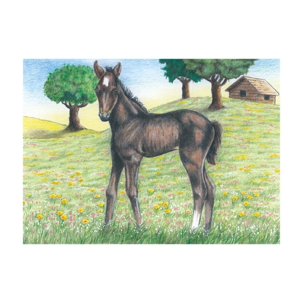 Puzzle cubes avec petit mouton