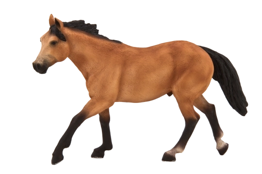 Mojo Cheval marin