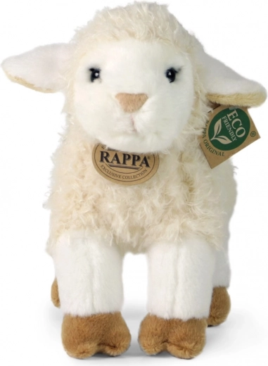 Collection exclusive RAPPA