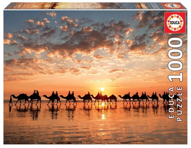 Educa Puzzle Coucher de soleil doré sur Cable Beach 1000 pièces