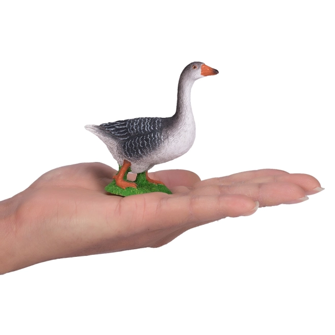 Taille idéale pour le jeu et la collection