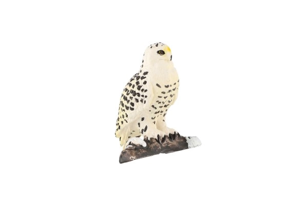Détails fidèles du rapace arctique