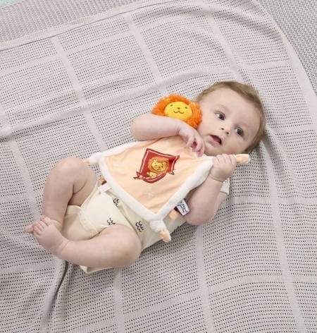 Doudou Rainbow Harry Potter Gryffondor