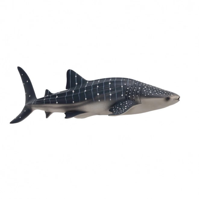 Mojo Requin baleine