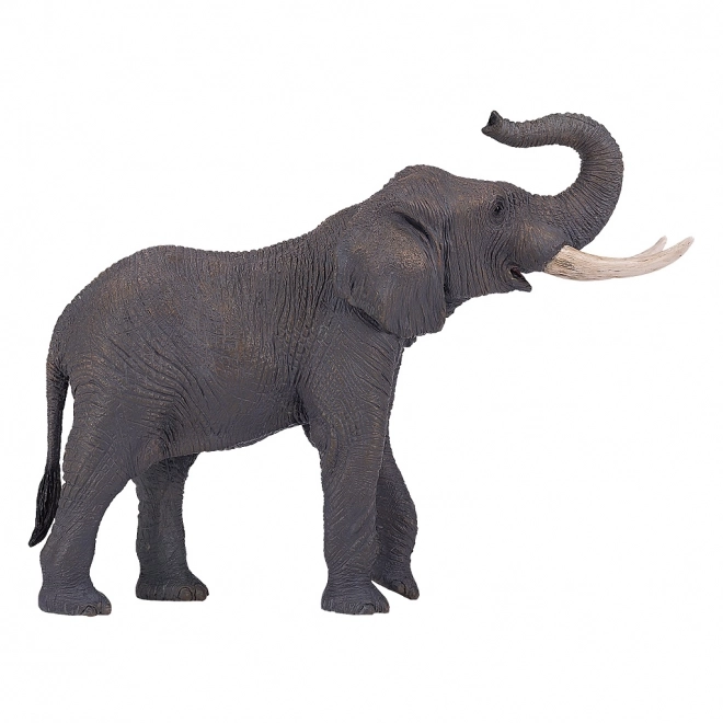Mojo Él&eacute;phant d'Afrique