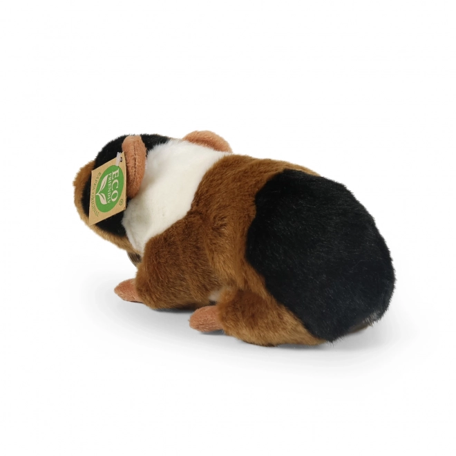 Cochon d'Inde en peluche de Rappa 22 cm écologique