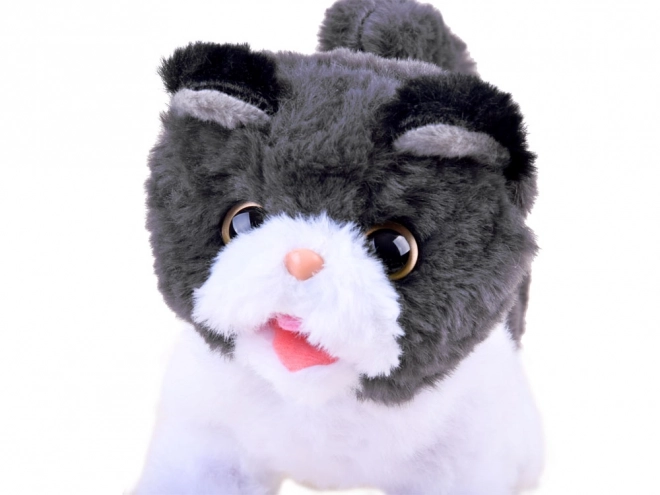 Chaton Interactif Psotek Cherche Maman