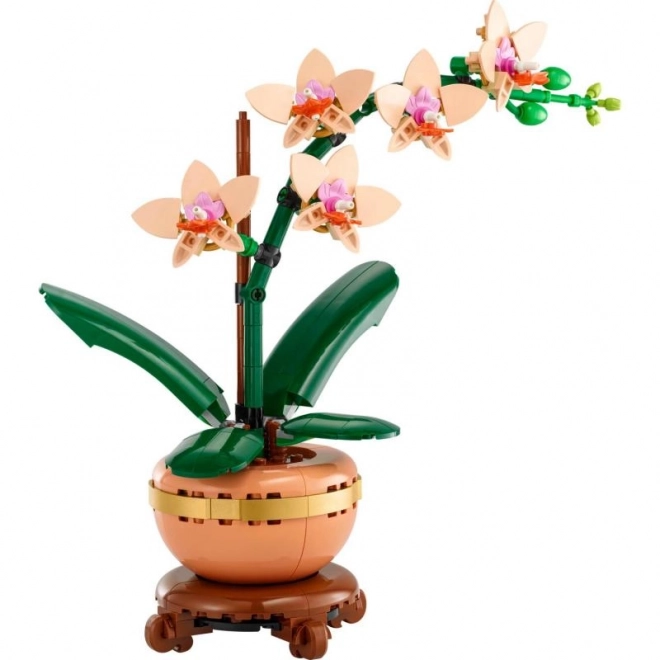 Lego Botanicals Petite Orchidée