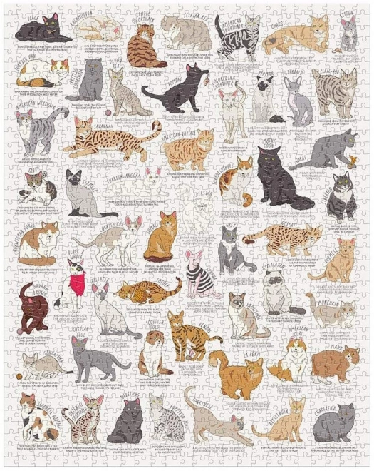 Ridley's Games Puzzle pour les amateurs de chats blancs 1000 pièces