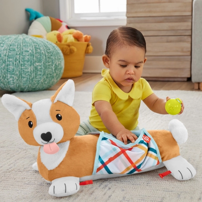 Coussin ventre pour bébés Fisher-Price