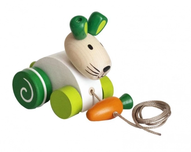 Lapin avec carotte