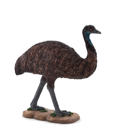 Mojo Animal Planet Émeu