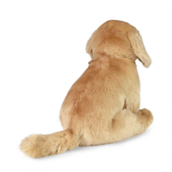 Labrador en peluche assis 27 cm ECO-FRIENDLY