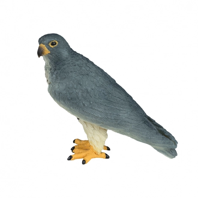 Mojo Faucon pèlerin
