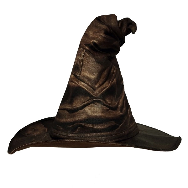 Chapeau Harry Potter