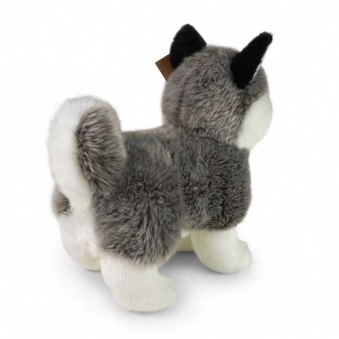 Chien husky en peluche debout 23 cm ECO-FRIENDLY
