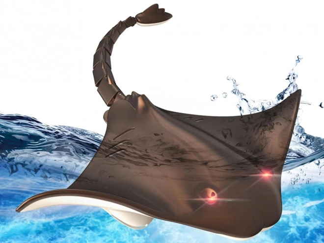 Amusante Planche Aquatique RC