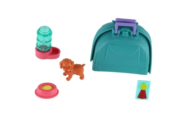 Petit chien avec boîte de transport et accessoires