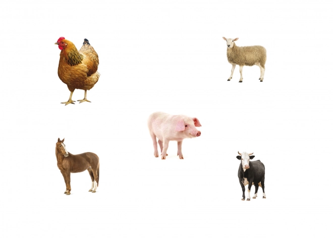 Just Jigsaws Puzzle en bois Formes et mémoire 6 pièces et 4 modèles