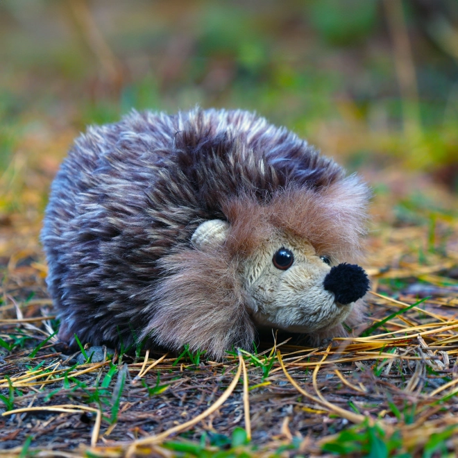 Rappa Hérisson en peluche 17 cm ÉCOLOGIQUE