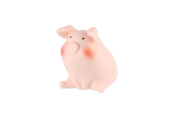 Cochonnet anti-stress en silicone 6cm 4 types 24pcs en boîte