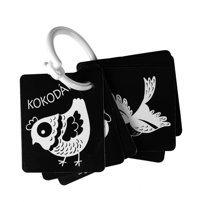 Cartes contrastées pour enfants noir et blanc