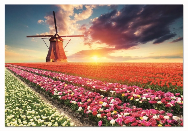 Puzzle Pays des tulipes 1500 pièces de EDUCA