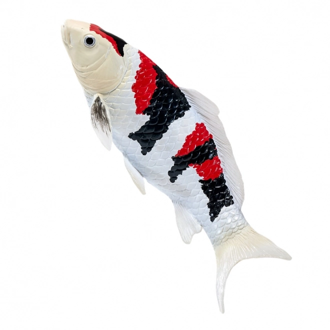 Mojo carpe koi showa sanshoku