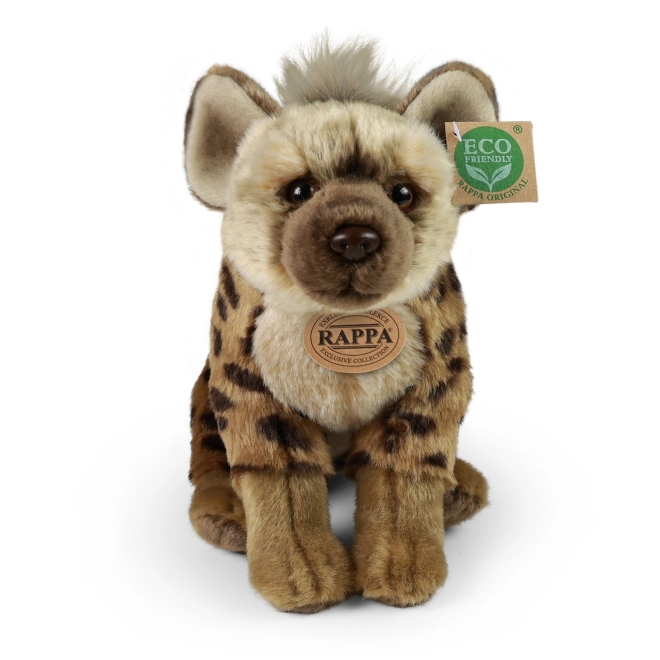 Collection exclusive RAPPA
